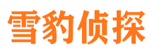 醴陵市私人侦探